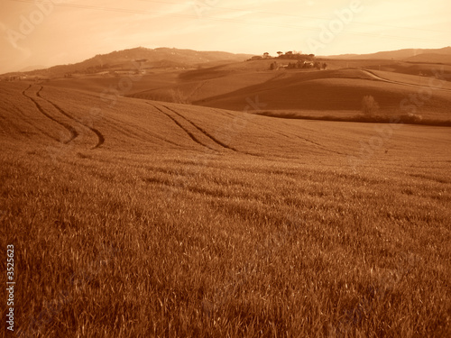 paysage de toscane