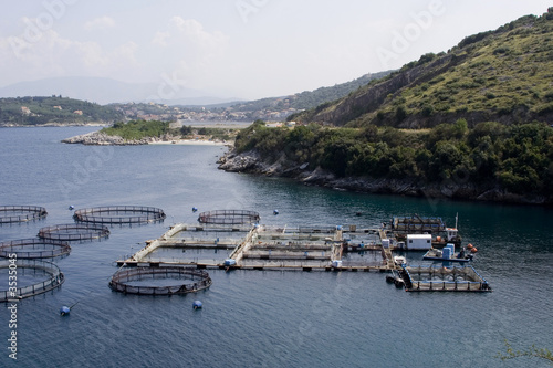 fish farm