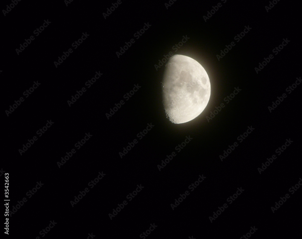 lune lune