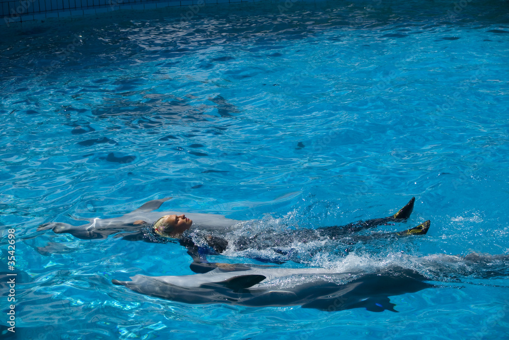 Fototapeta premium Swimming tith dolphins
