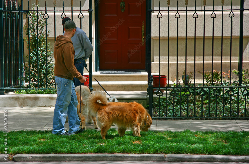 Do I Need To Register My Dog In Chicago