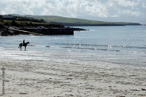 contemplation on horseback