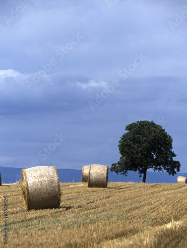bottes de pailles photo