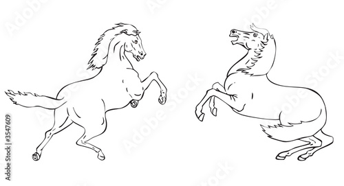 Fototapeta Naklejka Na Ścianę i Meble -  Prancing horse