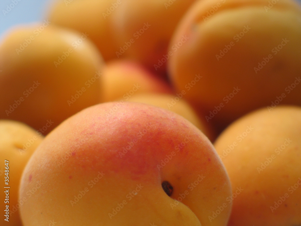 abricots