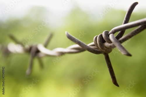 A barbed wire closeup