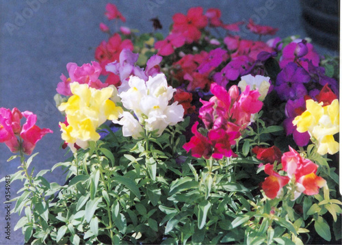 Wallpaper Mural lines  of   color Torontodigital.ca