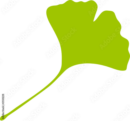 Ginkgo