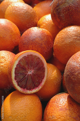 Photos Oranges sanguines
