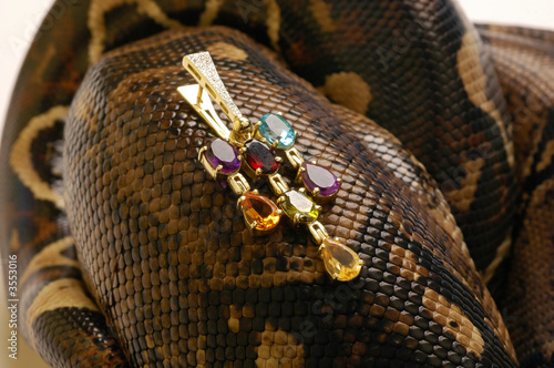 Brown snake with modern jewelrys 5 photo