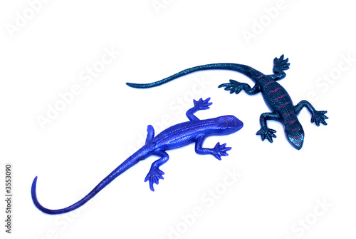 Fotografie, Obraz Two rubber lizards against white background.