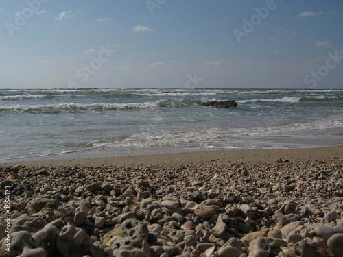 Sea beach 