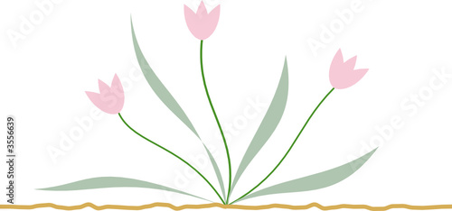 blume zart grafik