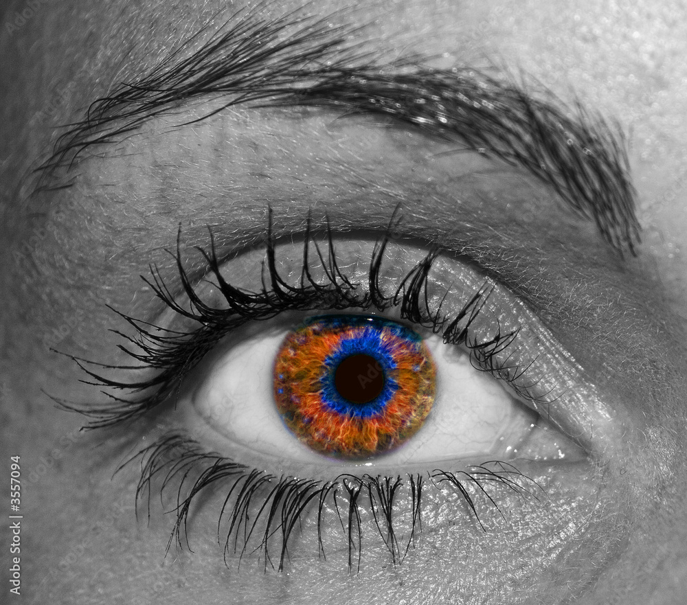 Fototapeta premium Eye of female