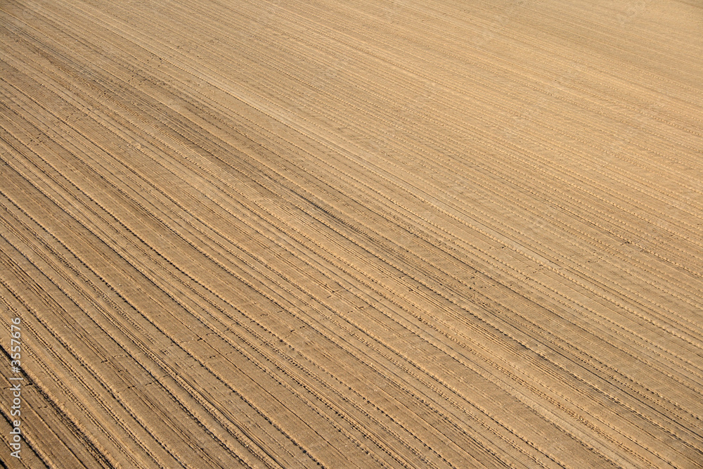 Soil background. Ploughed land ready for cultivation. Soil background. Ploughed land ready for cultivation.