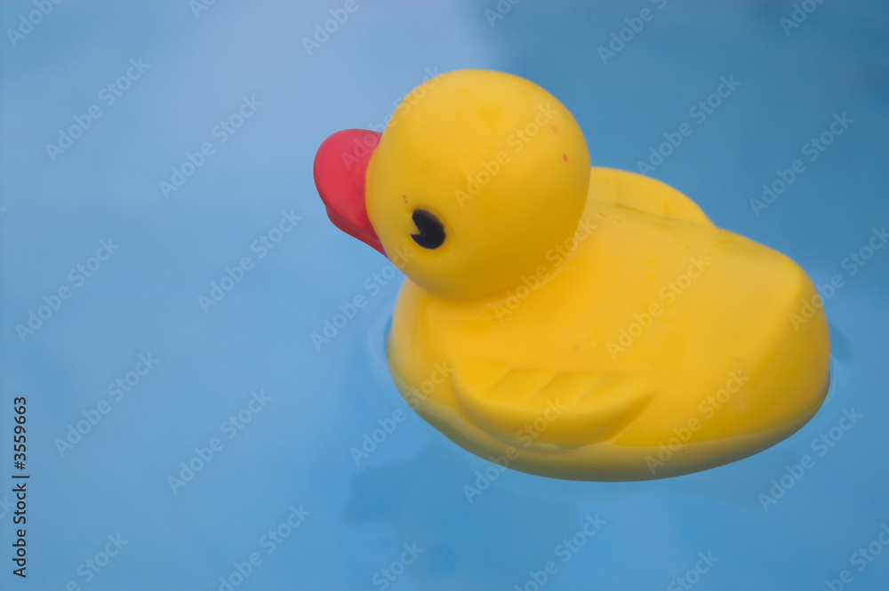 A rubber duck floating in a swimming pool. A rubber duck floating in a swimming pool.