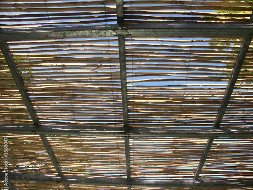 pergola photo