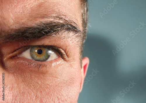 Auge