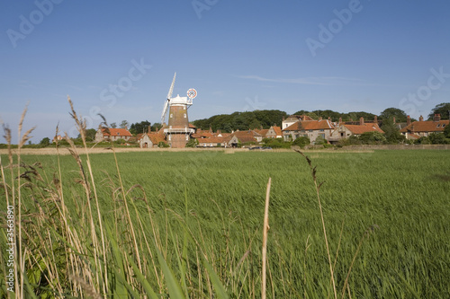 Принти на полотні Reeds at Cley marshes