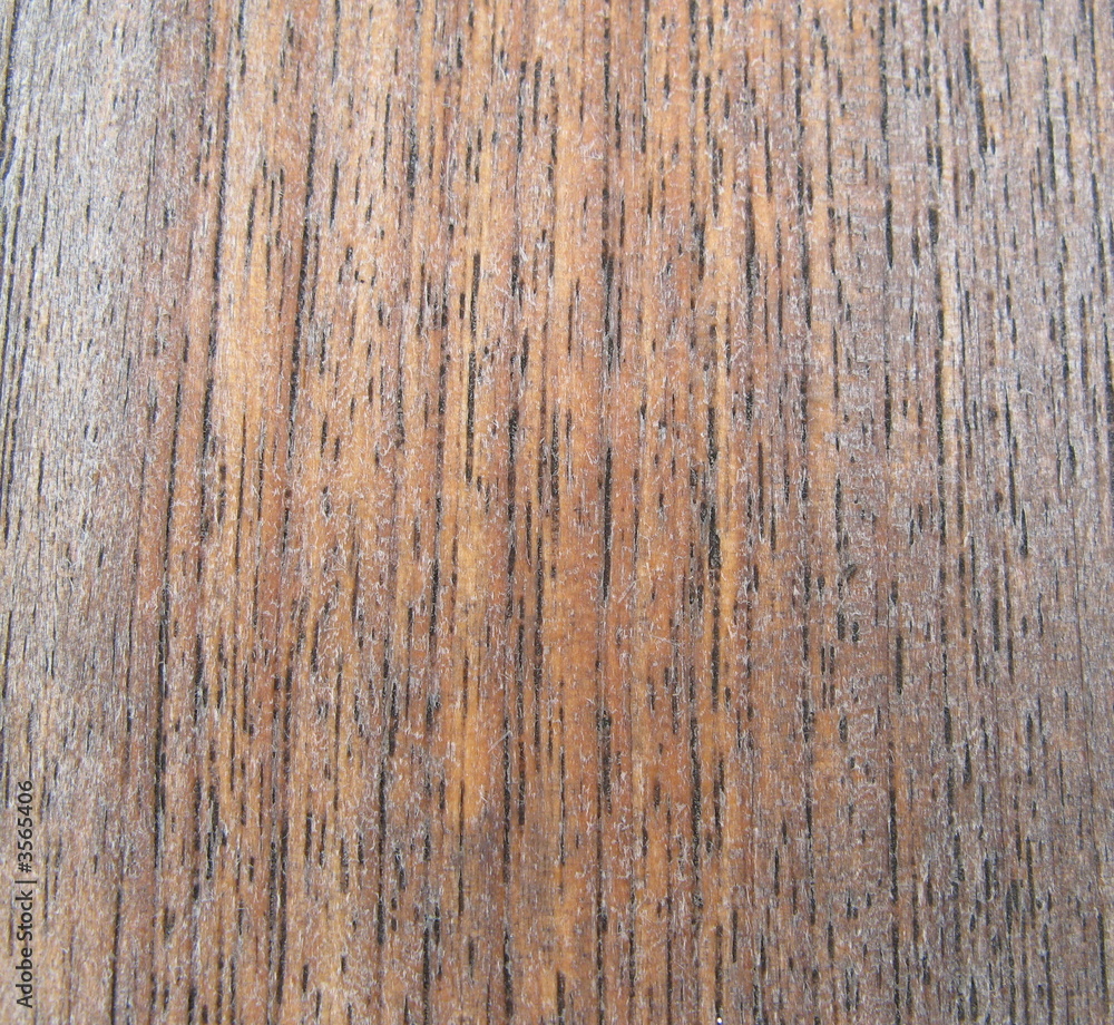 Obraz premium teak background