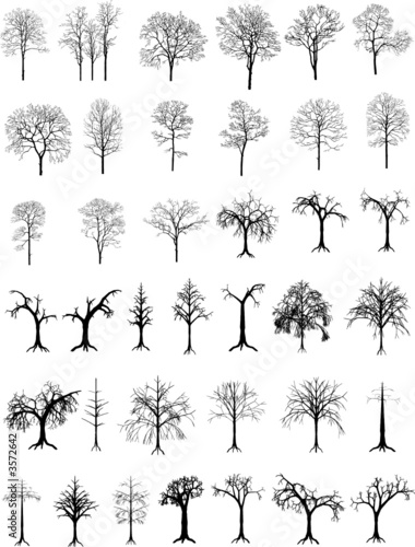 Collection of trees