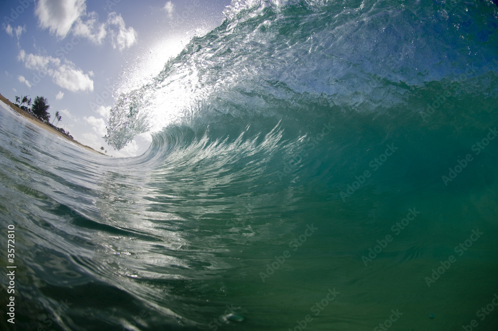 giant wave breaking in hawaii