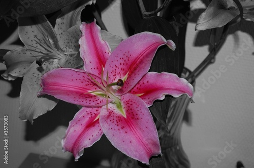 fleur desaturation