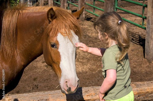 a little girl petting a beautiful horse