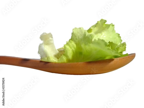 feuille de salade 