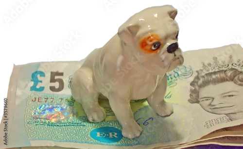 Bulldog guarding money photo