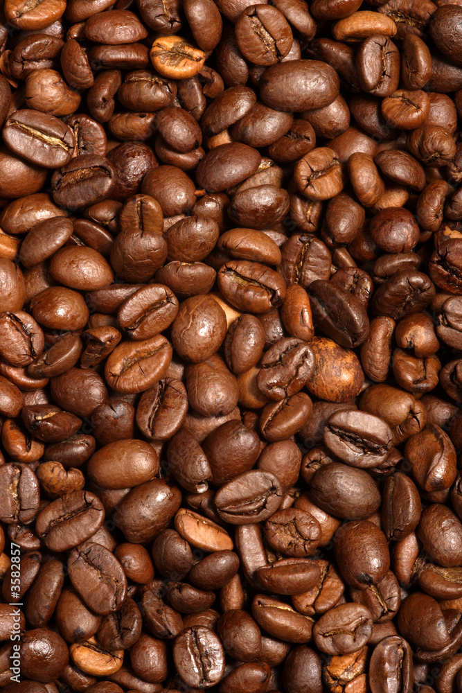 Coffee bean background Coffee bean background