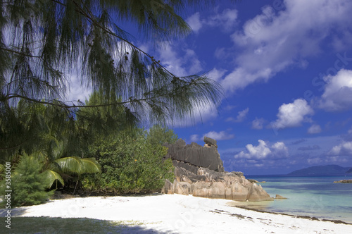 Beach of Cousin island  , Seychelles photo