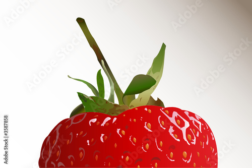 Strawberry Illustration