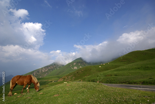 Wallpaper Mural les pyrénées en été Torontodigital.ca
