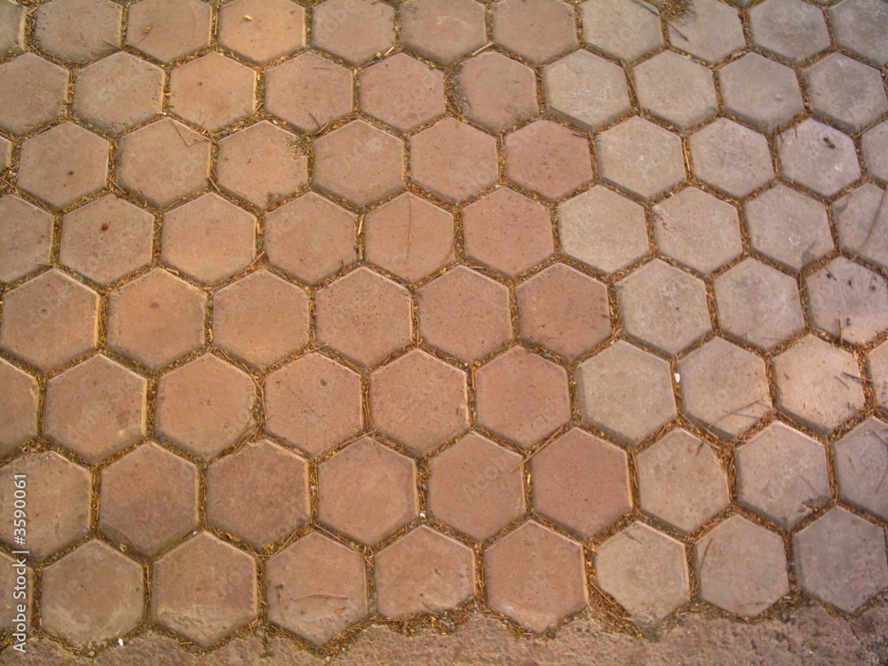 tile tile