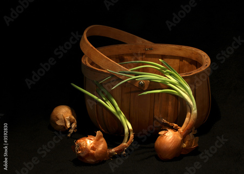 tthree onions and a basket