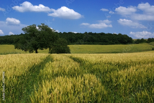 des traces dans le bl  