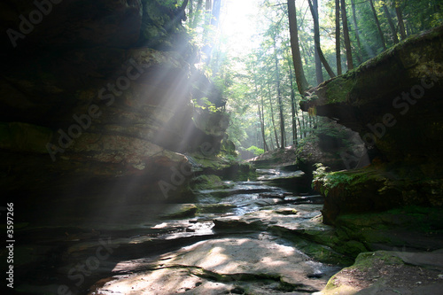Fényképezés Sun shines through