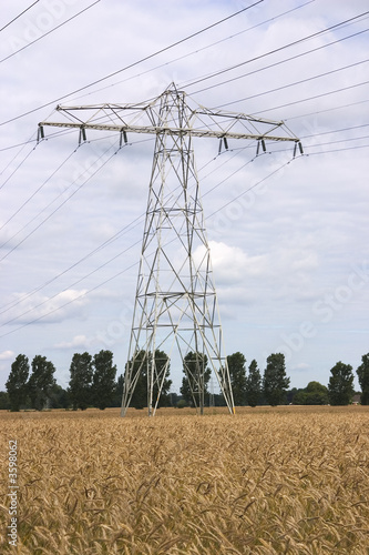 power pylon standing in a field of wheat