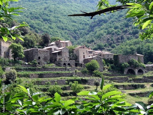 Naklejka Mas des Cevennes
