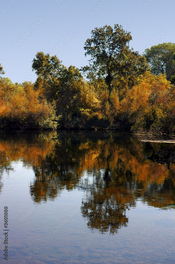 Postcard Autumn Reflection of Riparian Growth in Quiet Pool