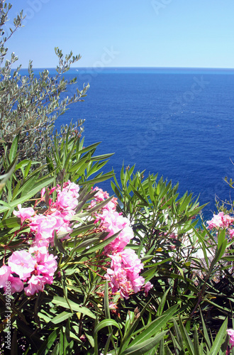 Vu sur mer en été