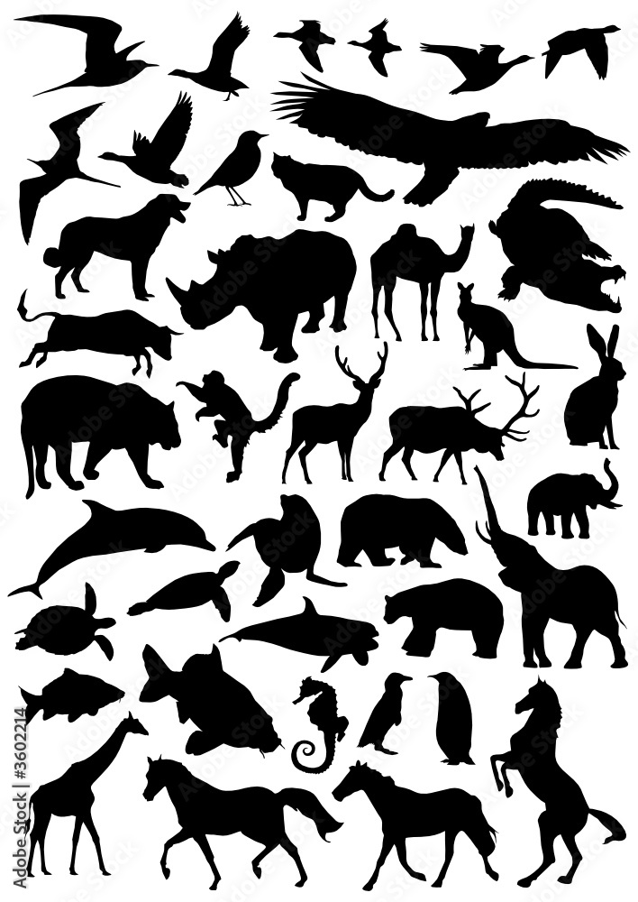 Fototapeta premium Collection of animal vector silhouettes