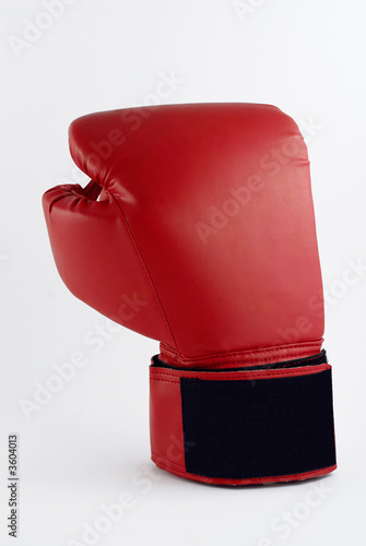 Boxng Glove
