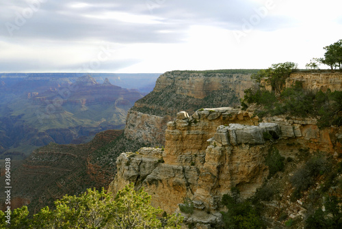Grand morning canyon