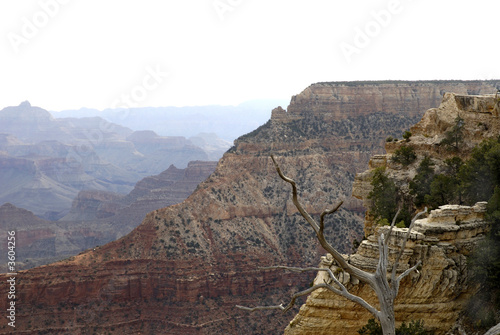 Red rock view