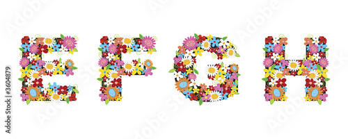 EFGH spring flowers - illustration / part of a full alphabet set