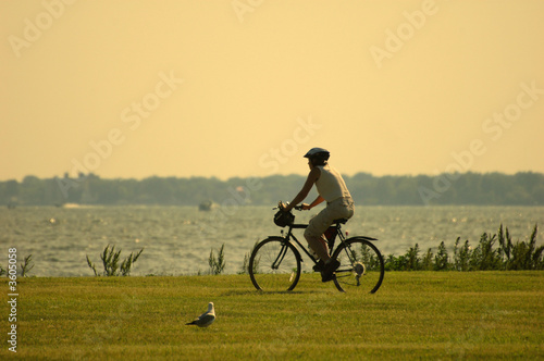 woman riding a bike in the park by the lake