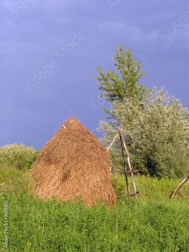 hayrick on a meadow