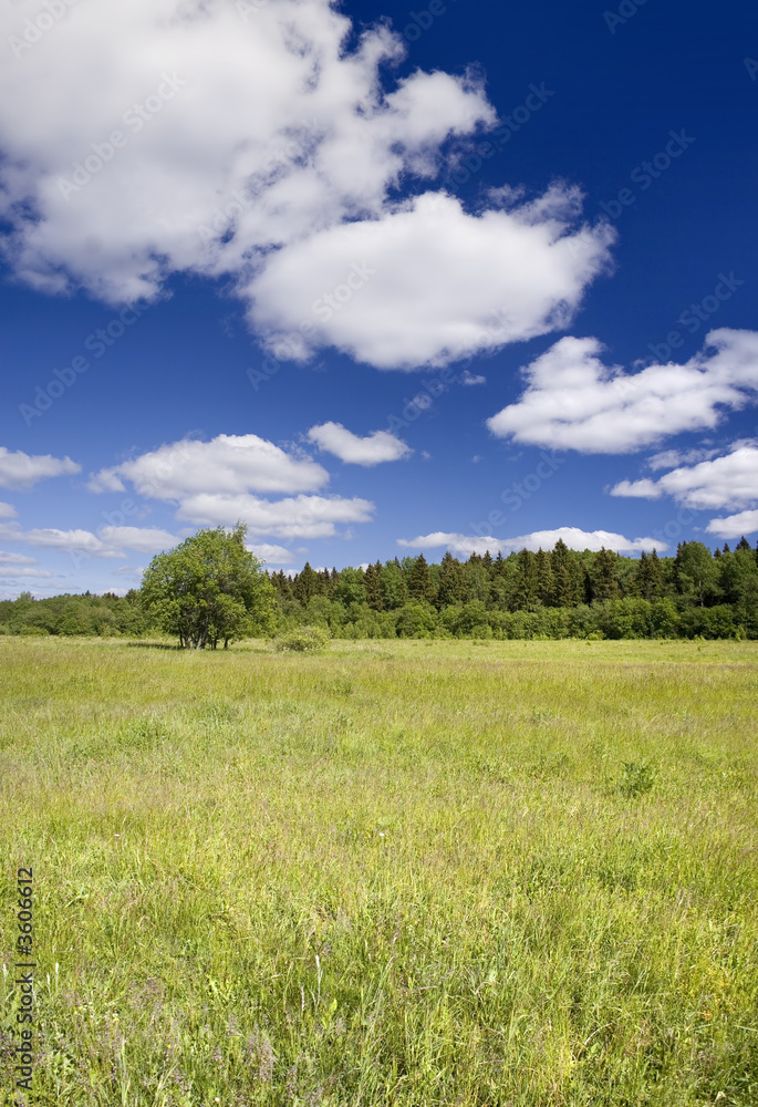 Photo of spring landscape with blue sky